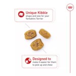 Royal Canin Adult Dry Dog Food - Yorkshire Terrier Breed Health Nutrition - Image 5