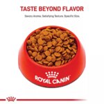 Royal Canin Adult Dry Small Dog Food Canine Care Nutrition, Digestive Care - Image 2