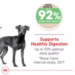 Royal Canin Adult Dry Small Dog Food Canine Care Nutrition, Digestive Care - Image 3