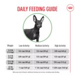 Royal Canin Adult Dry Small Dog Food Canine Care Nutrition, Digestive Care - Image 6
