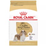 Royal Canin Breed Health Nutrition Cavalier King Charles Spaniel Adult Dry Dog Food