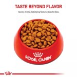 Royal Canin Breed Health Nutrition Cavalier King Charles Spaniel Adult Dry Dog Food - Image 2