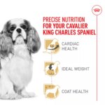 Royal Canin Breed Health Nutrition Cavalier King Charles Spaniel Adult Dry Dog Food - Image 3