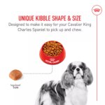 Royal Canin Breed Health Nutrition Cavalier King Charles Spaniel Adult Dry Dog Food - Image 4