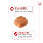 Royal Canin Breed Health Nutrition Cavalier King Charles Spaniel Adult Dry Dog Food - Image 5