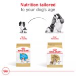 Royal Canin Breed Health Nutrition Cavalier King Charles Spaniel Adult Dry Dog Food - Image 7