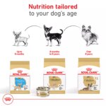 Royal Canin Breed Health Nutrition Chihuahua Breed Specific Aging 8+ Senior Dog Dry Food - 2.5 lb - Image 6