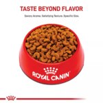 Royal Canin Breed Health Nutrition French Bulldog Puppy Dry Dog Food - Image 2