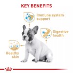 Royal Canin Breed Health Nutrition French Bulldog Puppy Dry Dog Food - Image 3