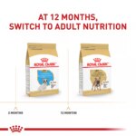 Royal Canin Breed Health Nutrition French Bulldog Puppy Dry Dog Food - Image 6