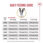 Royal Canin Breed Health Nutrition French Bulldog Puppy Dry Dog Food - Image 9