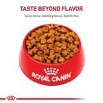 Royal Canin Breed Health Nutrition German Shepherd Adult Dry Dog Food - Image 2
