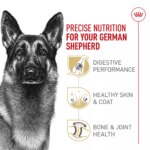 Royal Canin Breed Health Nutrition German Shepherd Adult Dry Dog Food - Image 3