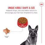 Royal Canin Breed Health Nutrition German Shepherd Adult Dry Dog Food - Image 4