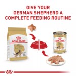 Royal Canin Breed Health Nutrition German Shepherd Adult Dry Dog Food - Image 6