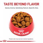 Royal Canin Breed Health Nutrition Great Dane Breed Specific Adult Dog Dry Food - 30 lb - Image 2