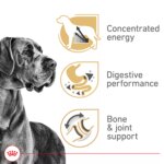 Royal Canin Breed Health Nutrition Great Dane Breed Specific Adult Dog Dry Food - 30 lb - Image 3