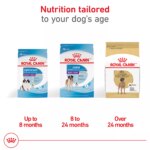 Royal Canin Breed Health Nutrition Great Dane Breed Specific Adult Dog Dry Food - 30 lb - Image 6