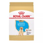 Royal Canin Breed Health Nutrition Labrador Retriever Puppy Dry Dog Food