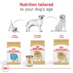 Royal Canin Breed Health Nutrition Labrador Retriever Puppy Dry Dog Food - Image 9