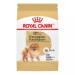 Royal Canin Breed Health Nutrition Pomeranian Adult Dog Dry Food