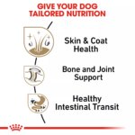 Royal Canin Breed Health Nutrition Pomeranian Adult Dog Dry Food - Image 4