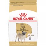 Royal Canin Breed Health Nutrition Pug Adult Dry Dog Food