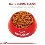 Royal Canin Breed Health Nutrition Pug Adult Dry Dog Food - Image 2