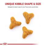 Royal Canin Breed Health Nutrition Pug Adult Dry Dog Food - Image 4