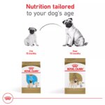 Royal Canin Breed Health Nutrition Pug Adult Dry Dog Food - Image 6