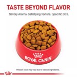 Royal Canin Canine Adult Dry Dog Food - Large Breed Joint Care Nutrition, 30 lb - Image 2