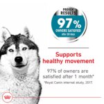 Royal Canin Canine Adult Dry Dog Food - Large Breed Joint Care Nutrition, 30 lb - Image 3