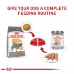 Royal Canin Canine Adult Dry Dog Food - Large Breed Sensitive Skin Care Nutrition, 30lb - Image 6