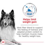 Royal Canin Canine Adult Dry Dog Food - Large Weight Care Nutrition, 30 lb - Image 3