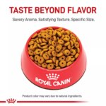Royal Canin Canine Adult Dry Dog Food - Medium Breed Weight Care Nutrition 30 lb - Image 2