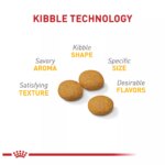 Royal Canin Canine Care Nutrition Sensitive Skin Care Medium Breed Adult Dog Dry Food - 17 lb - Image 3