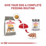Royal Canin Canine Care Nutrition Sensitive Skin Care Medium Breed Adult Dog Dry Food - 17 lb - Image 6