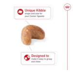 Royal Canin Cocker Spaniel Medium Breed Adult Dry Dog Food - Skin & Coat Health - Image 4