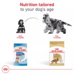 Royal Canin Cocker Spaniel Medium Breed Adult Dry Dog Food - Skin & Coat Health - Image 6