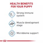 Royal Canin Giant Junior Puppy Dry Dog Food, Size Health Nutrition - Image 4