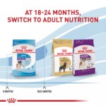Royal Canin Giant Junior Puppy Dry Dog Food, Size Health Nutrition - Image 5