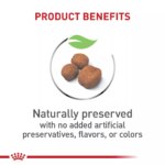 Royal Canin Giant Puppy Dry Dog Food, Size Health Nutrition - Image 3