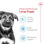 Royal Canin Large Puppy Dry Dog Food, Size Health Nutrition - Image 3