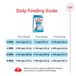 Royal Canin Large Puppy Dry Dog Food, Size Health Nutrition - Image 5