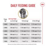 Royal Canin Puppy Dry Dog Food - Dachshund Breed Health Nutrition, 2.5 lb - Image 10
