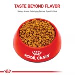 Royal Canin Puppy Dry Dog Food - Dachshund Breed Health Nutrition, 2.5 lb - Image 2