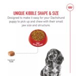Royal Canin Puppy Dry Dog Food - Dachshund Breed Health Nutrition, 2.5 lb - Image 4