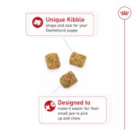 Royal Canin Puppy Dry Dog Food - Dachshund Breed Health Nutrition, 2.5 lb - Image 5