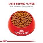 Royal Canin Puppy Dry Dog Food - Miniature Schnauzer Breed Health Nutrition, 2.5 lb - Image 2
