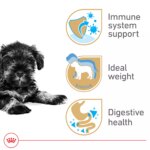 Royal Canin Puppy Dry Dog Food - Miniature Schnauzer Breed Health Nutrition, 2.5 lb - Image 3